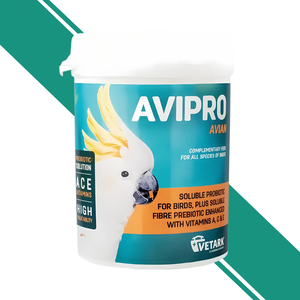 Avipro Avian Prebiotic and Probiotic Powder for Birds – 100g